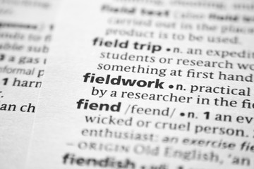 Word or phrase Fieldwork in a dictionary.