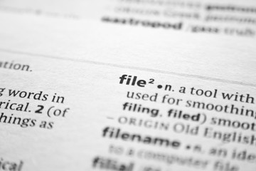 Word or phrase File in a dictionary.