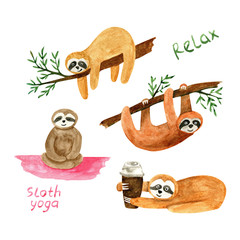 Adorable hand painted watercolor sloth. Isolated on white background tropical drawing for textile prints, child poster, cute stationery.