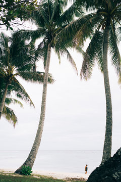 A lone girl wanders between palm trees
