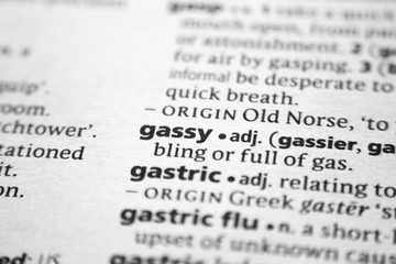 Word or phrase Gassy in a dictionary.