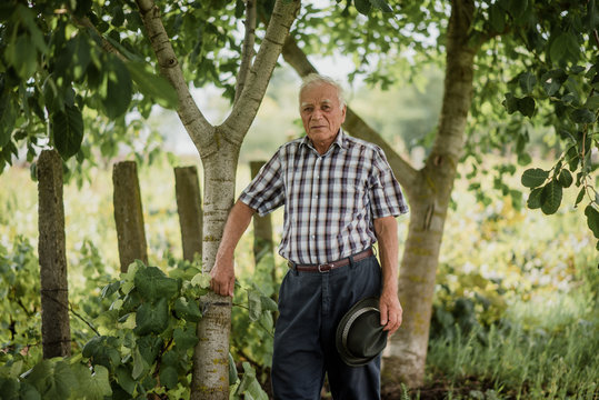 Elderly man with hat in green landscape