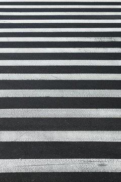 Zebra Crosswalk