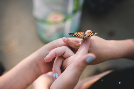 Handing off a butterfly