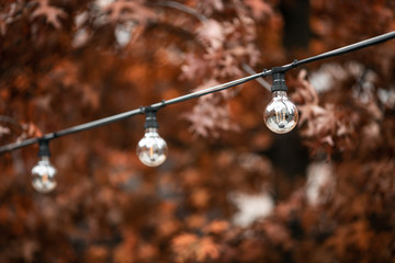 Fototapeta premium Lighting decor. Retro light bulb filament hanging close up. Illuminated.