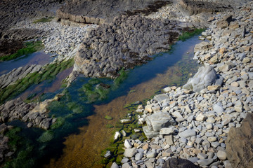 Fototapeta na wymiar Coastal Rock Pools, West of Ireland