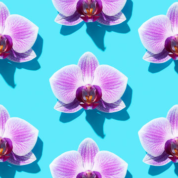 mosaic of pink orchids