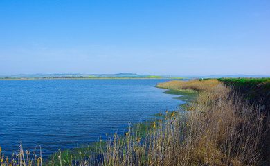 Blue lake with reeds