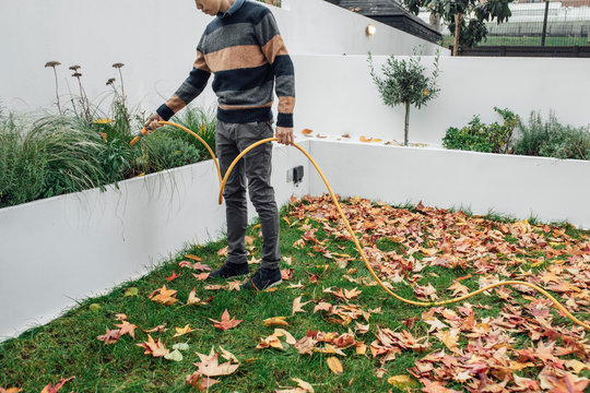 A Man Watering Grass