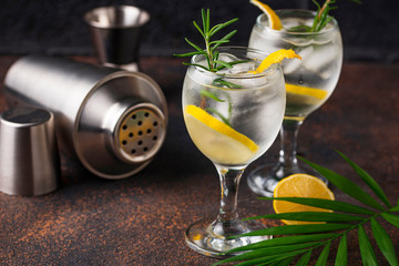 Gin tonic cocktail with lemon