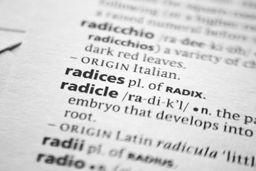 Fototapeta premium Word or phrase Radices in a dictionary.
