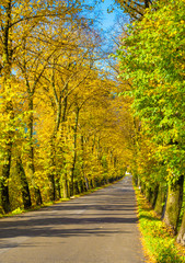 Rieti (Italy) - The historic center of the Sabina's provincial capital, under Mount Terminillo and crossed by the river Velino, during the autumn with foliage.