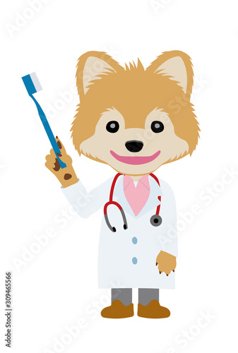 イラスト素材 犬を擬人化したお医者さん 獣医師 のキャラクター ポメラニアン 歯科医 歯磨き Wall Mural Globeds