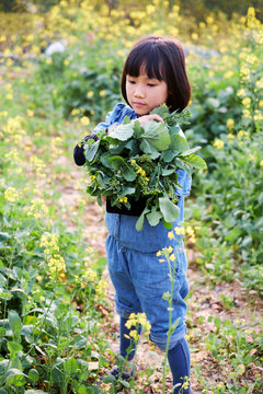 Cute Asian girl in natural rapeseed field