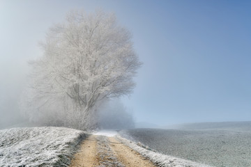 Winterlandschaft