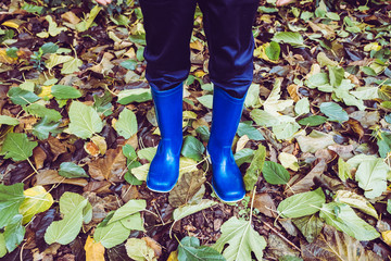 In autumn children go for a walk in the forest with rubber boots.