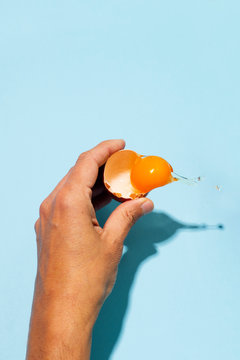 egg