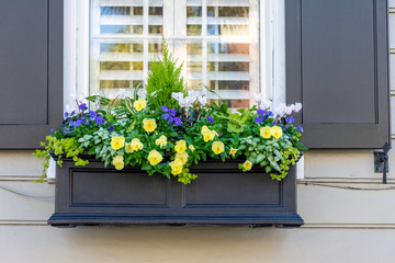 Fototapeta na wymiar In a city of gardens, beautiful planter boxes are seen in the historic district of Charleston, South Carolina, a popular slow travel destination in the southern United States.