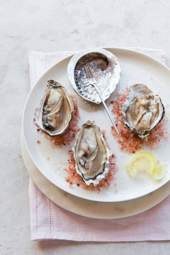 Half shell oysters on pink salt