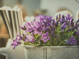 moody restaurant decoration with potted plant