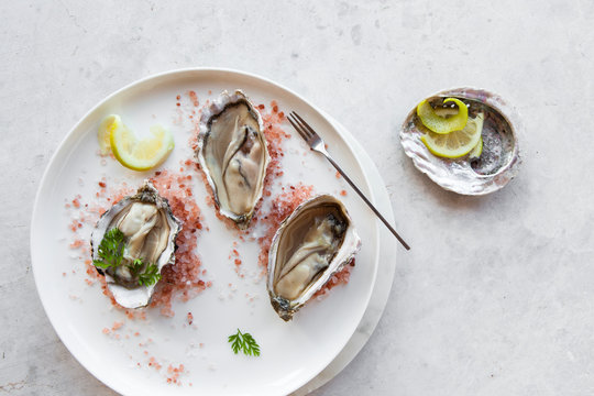 Oysters on pink salt