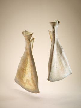 Close up of shoulder bones