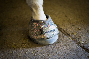 Sparkly bell boot