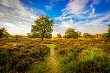 Obraz premium Drenthe