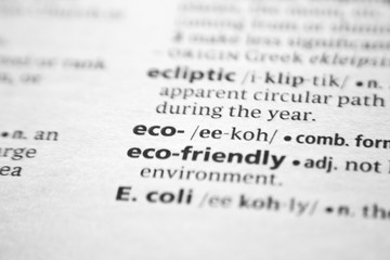 Word or phrase Eco- in a dictionary.