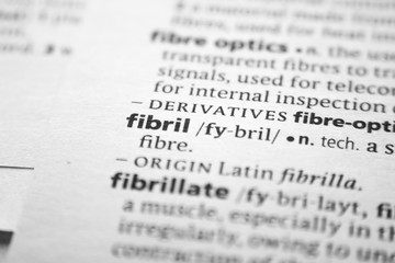 Word or phrase Fibril in a dictionary.