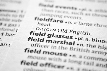 Fototapeta premium Word or phrase Field glasses in a dictionary.