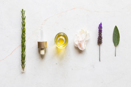 Plant based aromatherapy oils