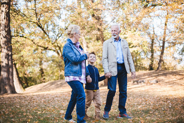 A gandson walking through nature with his grandparents, listening to their stories. It's a wonderful autumn day with sunrays bathing the trees, the trio goes holding hands.