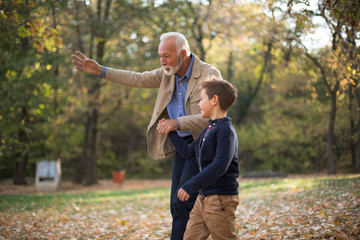 Grandfather walking with his grandson and showing him beautiful plants and trees in park.