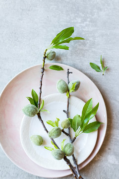 Almond nut branch resting on a plate