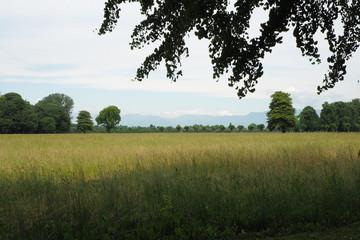 Paesaggio