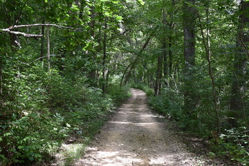 Peaceful Path