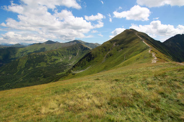 Alpine zone in Western Tatra Mountains (with mount Wolowiec), Poland - obrazy, fototapety, plakaty
