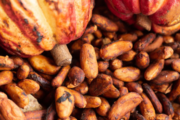 nuts and cocoa fruit closeup
