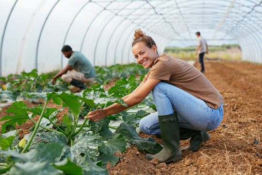 Ecological agriculture.