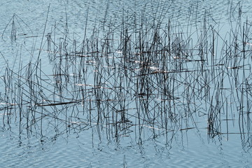 Fototapeta premium Canneto sull'acqua