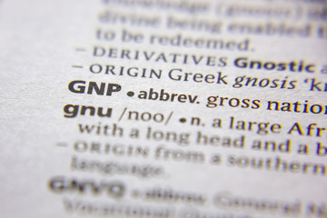 Word or phrase GNP abbreviation in a dictionary.