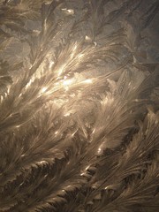 sparkle shining light through frosty pattern on the window winter glass