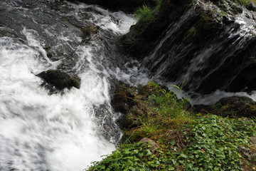 Torrente di montagna