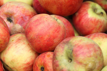 Bioäpfel