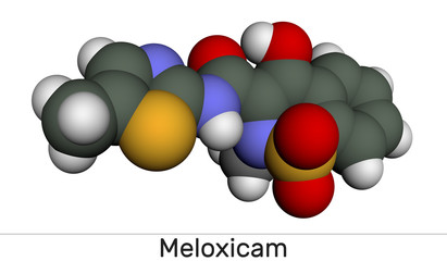 Meloxicam C14H13N3O4S2 molecule. It is a nonsteroidal anti-inflammatory drug NSAID. Molecular model