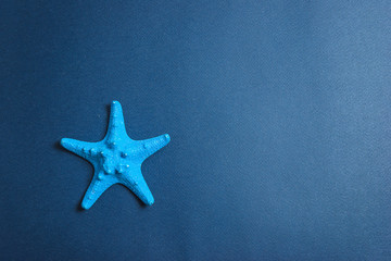 Fototapeta na wymiar Beautiful blue starfish on the dark blue background. Copy space, flat lay