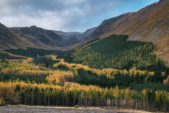 Autumn colors in picturesque Corrie Fee, Glen Doll, Scottish Highlands in late October.