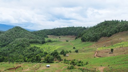 The deforestation problem caused from the expansion of highland farming area by ethnic groups (hill tribe people) in mountainous area of Northern Thailand.