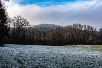 Tal im Stromberg bei Oberderdingen